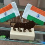 Coconut Shell Make in India Idol