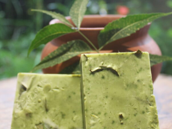 Neem Coconou Body Soap Organic-100gm