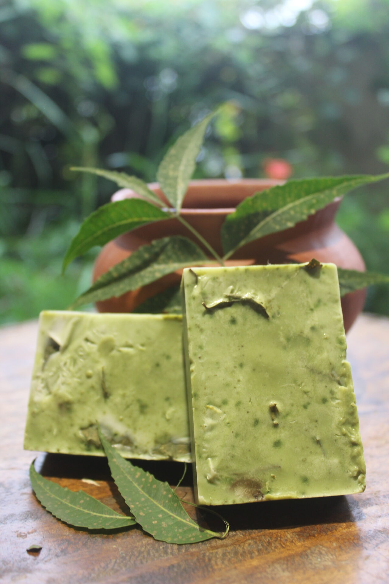 Neem Coconou Body Soap Organic-100gm